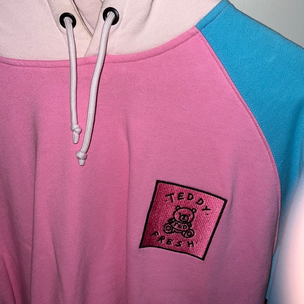 Teddy Fresh Color Block Hoodie
